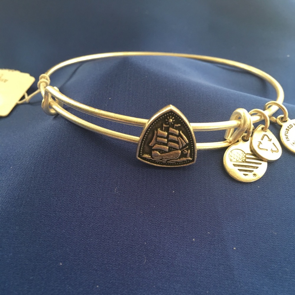 ALEX AND ANI STEADY VESSEL BRACELET